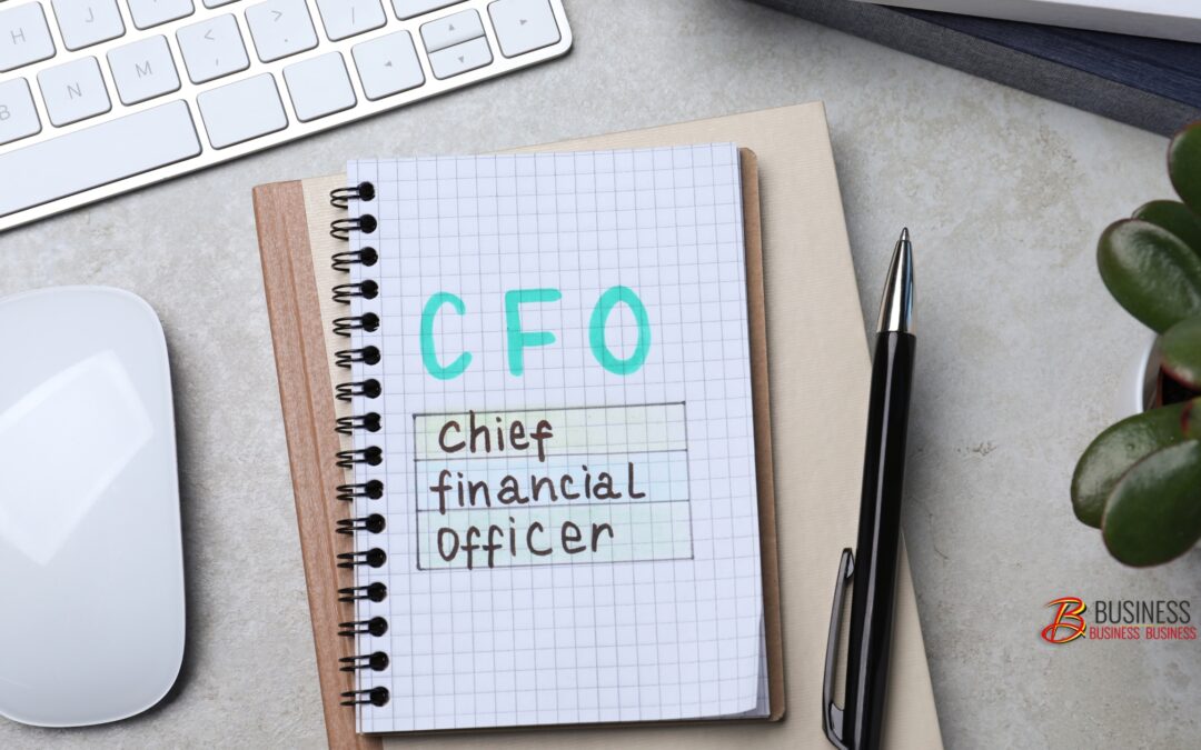The Fractional CFO: A Game-Changer for Growing Businesses Under $5M